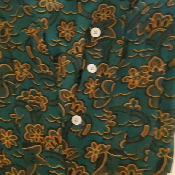 Printed Shear Blouse - Picture 5 of 5